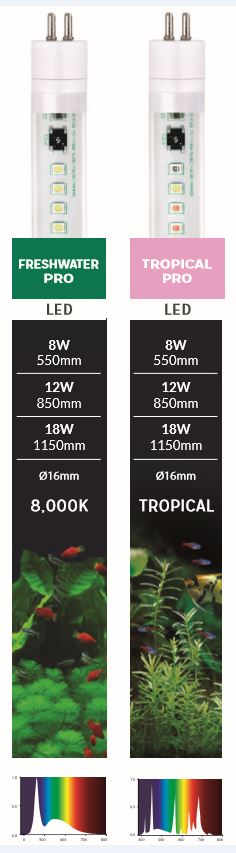 Led verlichting: T5 LED Freshwater Pro 18W 1047mm Juwel